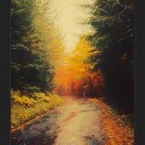 Cuadro Autumnal Landscape 3