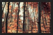 Cuadro Bosque de otoño