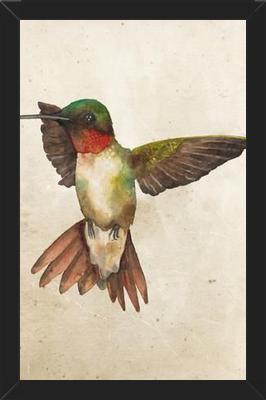 Enmarcado Colibrí Acuarela