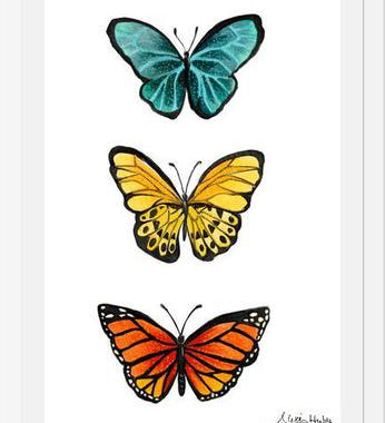 Cuadro Mariposas <3