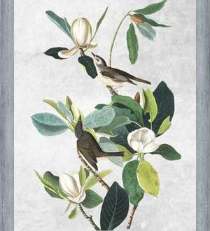 Cuadro Botanical print