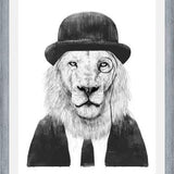 Cuadro Sir Lion
