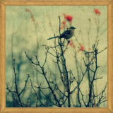Cuadro Autumn Bird