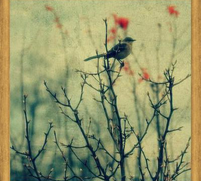 Cuadro Autumn Bird