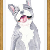 Cuadro Bulldog Frances Gris
