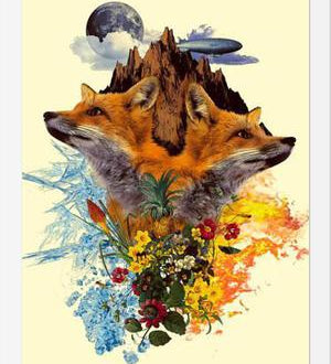 Cuadro Fox and Floral