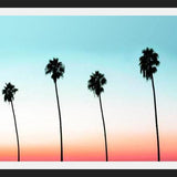 Cuadro Sunset Boulevard