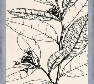 Cuadro MINIMAL LEAVES - 01 NUDE