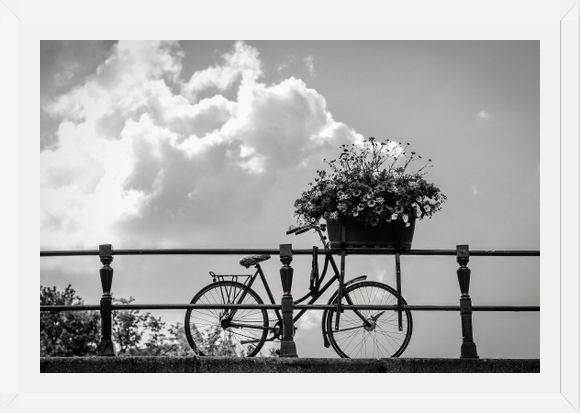 Cuadro Bicicleta y flores en canales Amsterdam