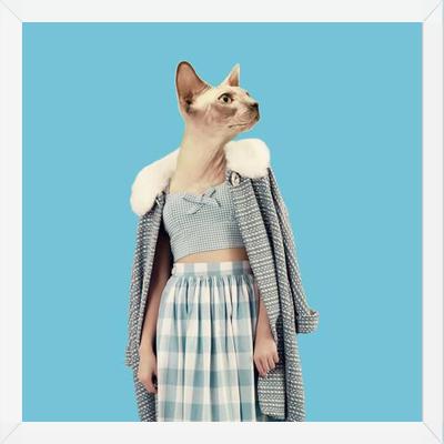 Cuadro Cat