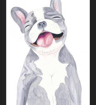 Cuadro Bulldog Frances Gris