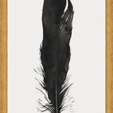 Cuadro Pluma Acuarela 1