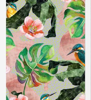 Cuadro Bird Sanctuary