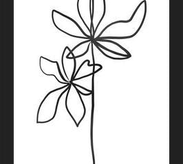 Cuadro Lines Leaves