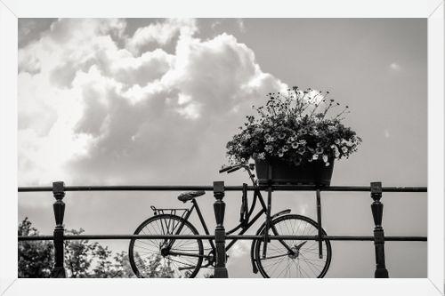 Cuadro Bicicleta y flores en canales Amsterdam