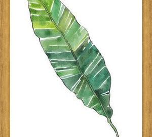 Cuadro HOJA DE PLATANO