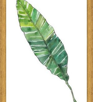 Cuadro HOJA DE PLATANO