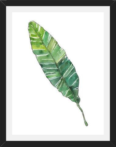 Cuadro HOJA DE PLATANO