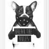 Cuadro Rebel Dog