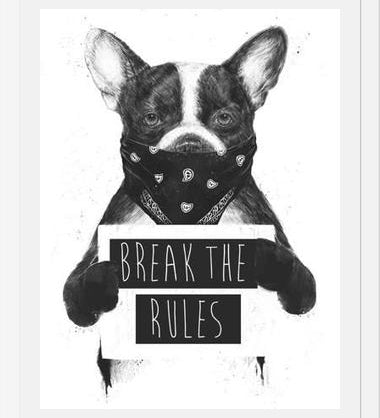 Cuadro Rebel Dog