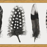 Cuadro Plumas Acuarela