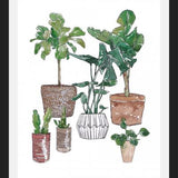 Cuadro Plantas