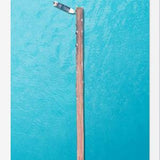 Cuadro Muelle