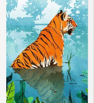 Cuadro Tiger Creek