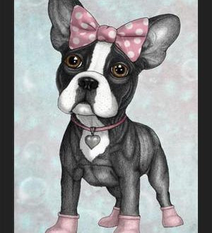 Enmarcado Sweet Frenchie