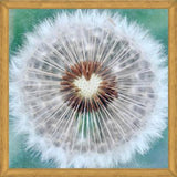 Cuadro Dandy Heart