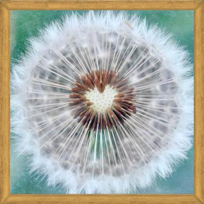 Cuadro Dandy Heart