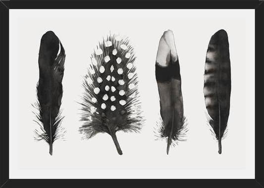 Cuadro Plumas Acuarela