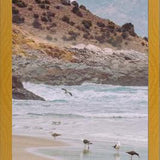 Cuadro Papudo, Chile