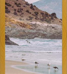 Cuadro Papudo, Chile
