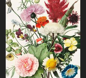 Cuadro Bouquet de flores