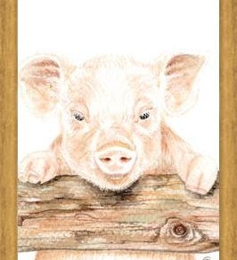 Cuadro cerdito