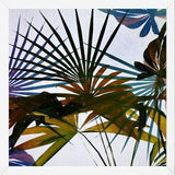 Cuadro Tropical Foliage