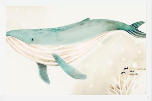 Cuadro Ballena