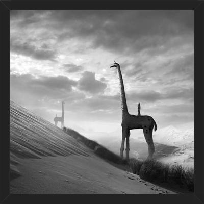 Cuadro Giraffes