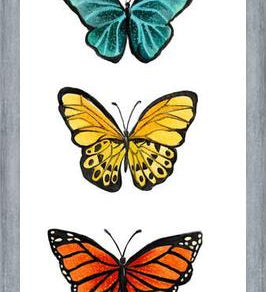 Cuadro Mariposas <3