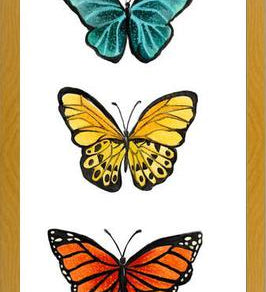 Cuadro Mariposas <3