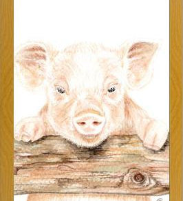 Cuadro cerdito