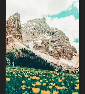 Cuadro Hillside Meadow