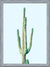 Cuadro Loner Cactus