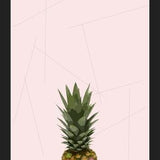 Cuadro Piña?