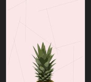 Cuadro Piña?