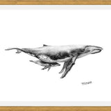 Cuadro Ballenas Jorobadas