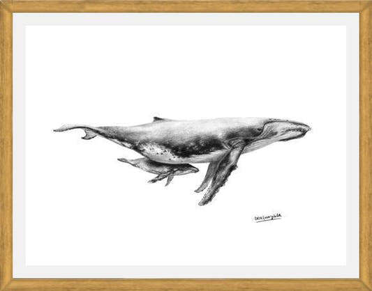 Cuadro Ballenas Jorobadas
