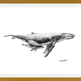 Cuadro Ballenas Jorobadas