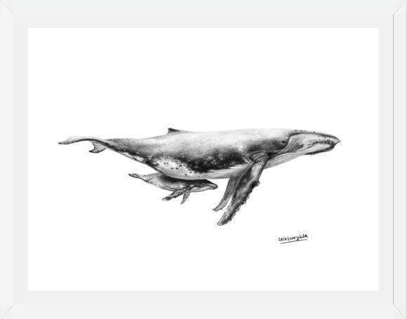 Cuadro Ballenas Jorobadas
